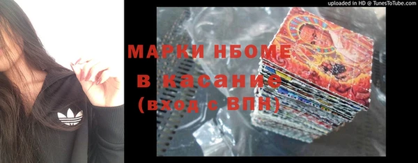 сатива Аркадак