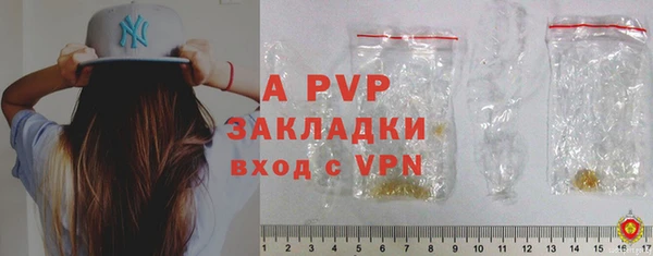 шишки Арсеньев