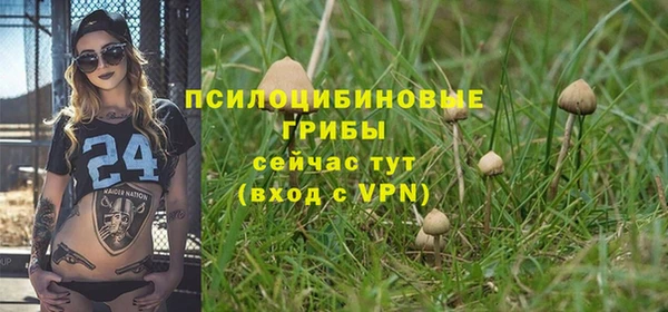 шишки Арсеньев