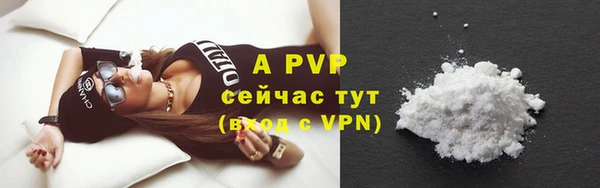 шишки Арсеньев