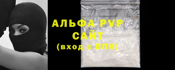 шишки Арсеньев