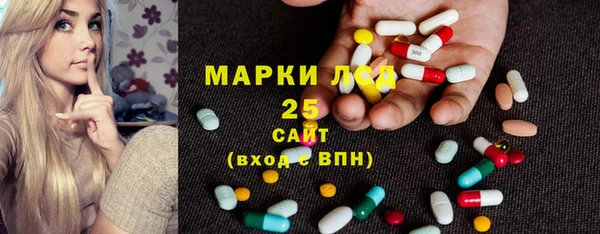шишки Арсеньев