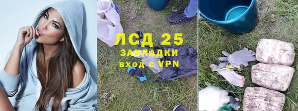 шишки Арсеньев