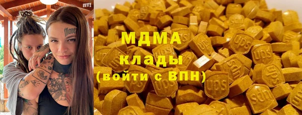 шишки Арсеньев