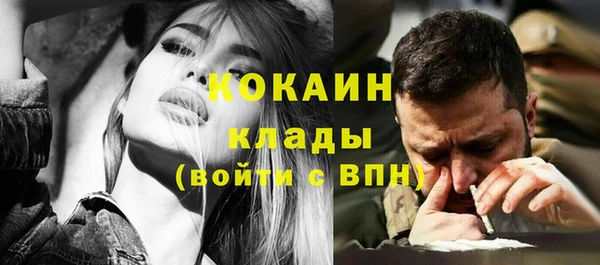 сатива Аркадак