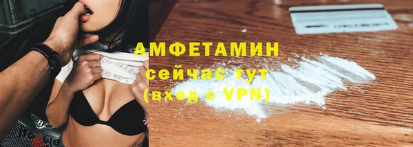 шишки Арсеньев