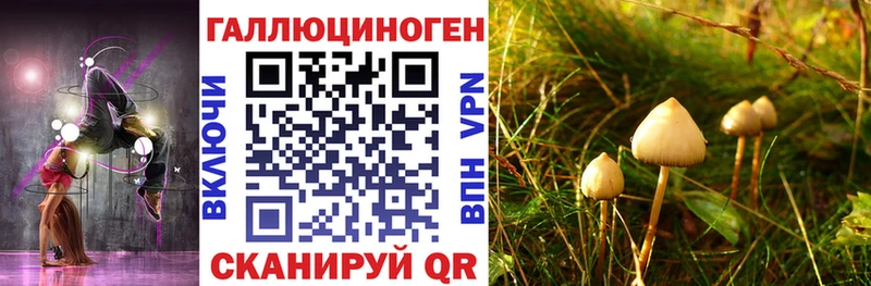 OMG   Салехард  Галлюциногенные грибы прущие грибы 