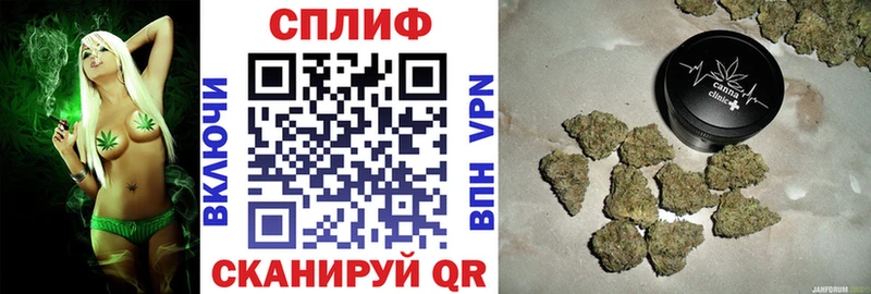 Марихуана план  Салехард 